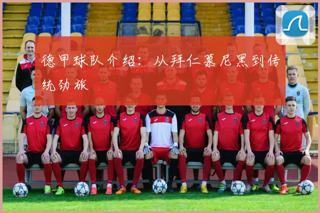 德甲球队介绍：从拜仁慕尼黑到传统劲旅