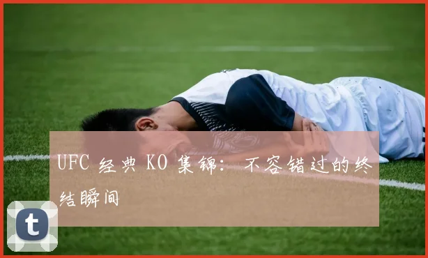 UFC 经典 KO 集锦:不容错过的终结瞬间