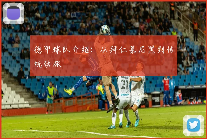 德甲球队介绍:从拜仁慕尼黑到传统劲旅